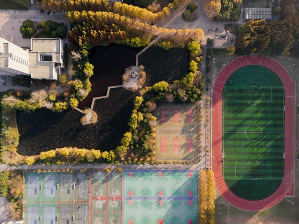 Lancer son enfant dans le skate de vitesse : guide pratique